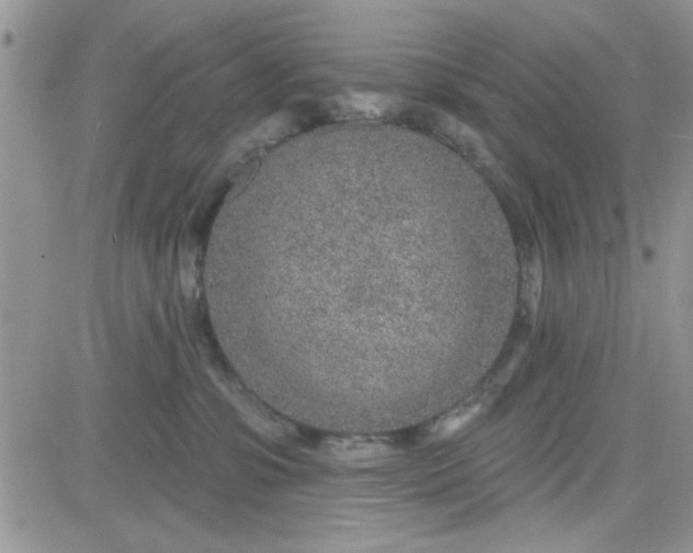 X0000081560331200701291156