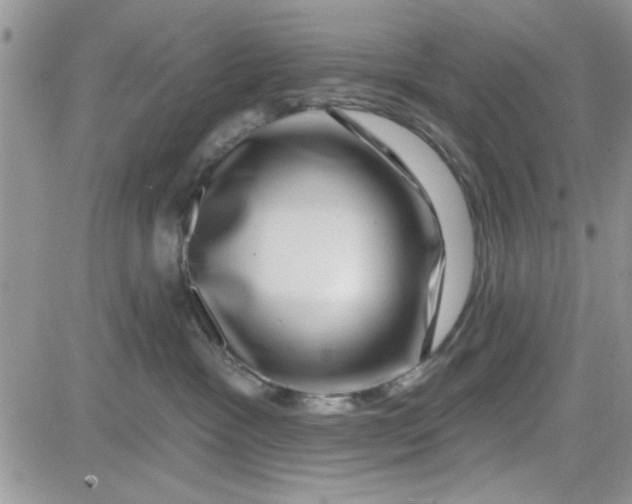 X0000081560333200701291156