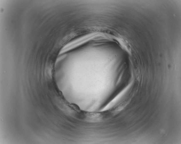 X0000081560334200701291156