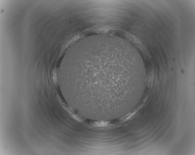 X0000081560335200701291156