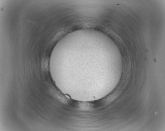 X0000081560336200701291156