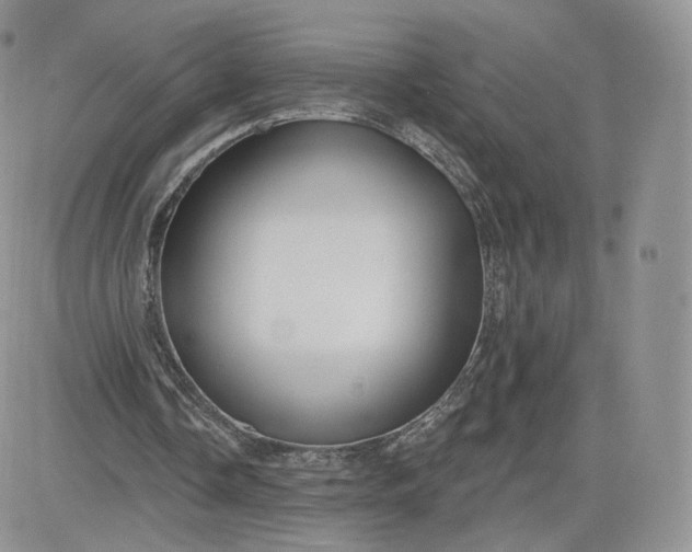 X0000081560338200701291155