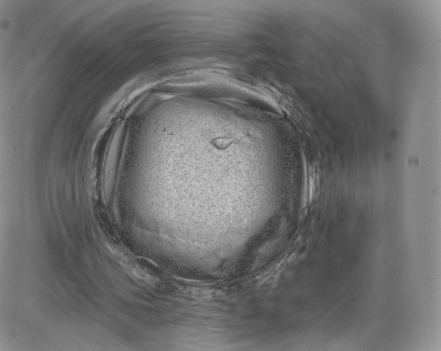 X0000081560339200701291155