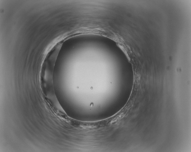 X0000081560340200701291155