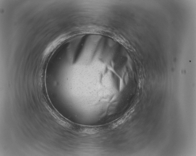 X0000081560341200701291155