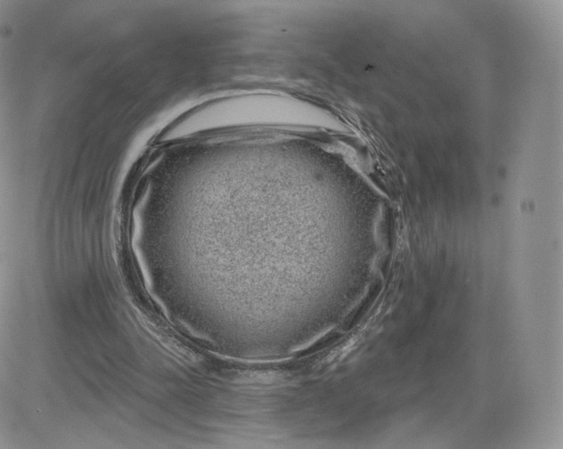 X0000081560342200701291155