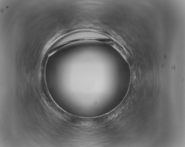 X0000081560344200701291155