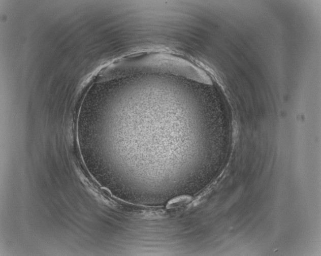 X0000081560345200701291155