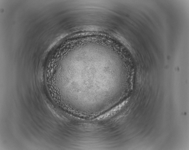 X0000081560347200701291155