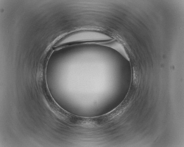 X0000081560348200701291155