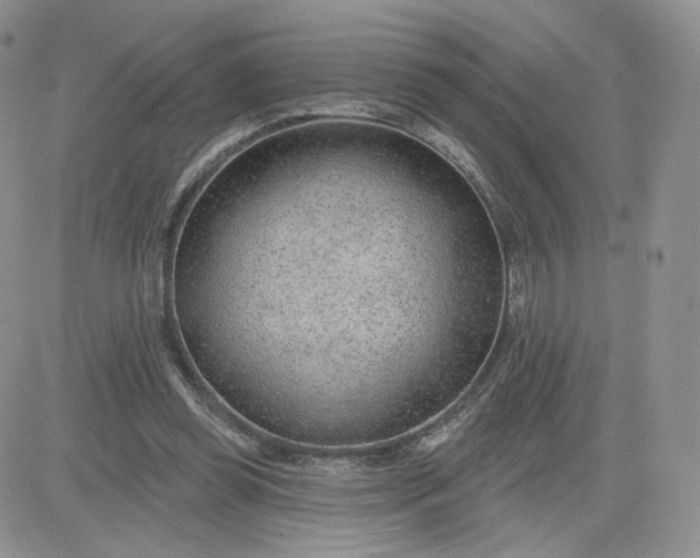 X0000081560349200701291155