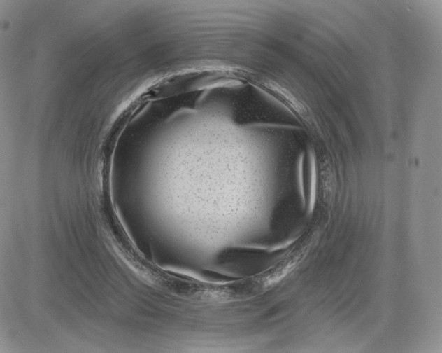 X0000081560350200701291155