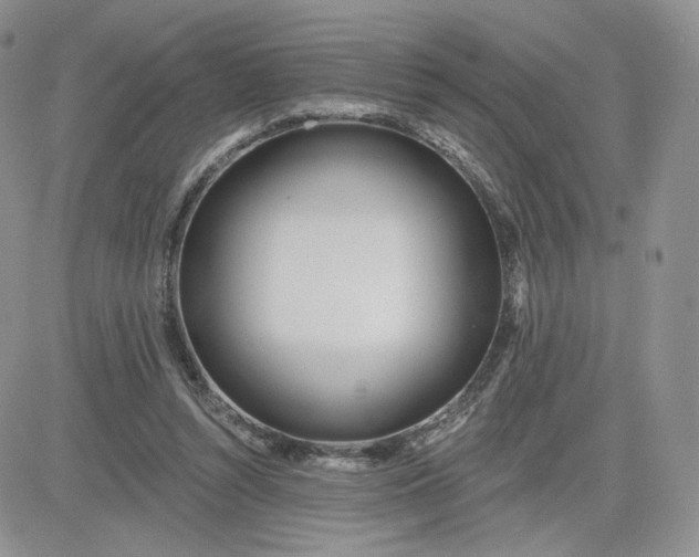 X0000081560352200701291155