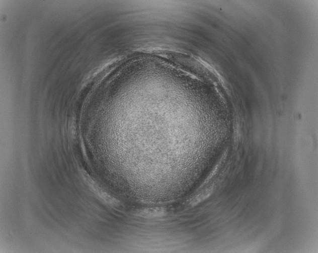 X0000081560353200701291155