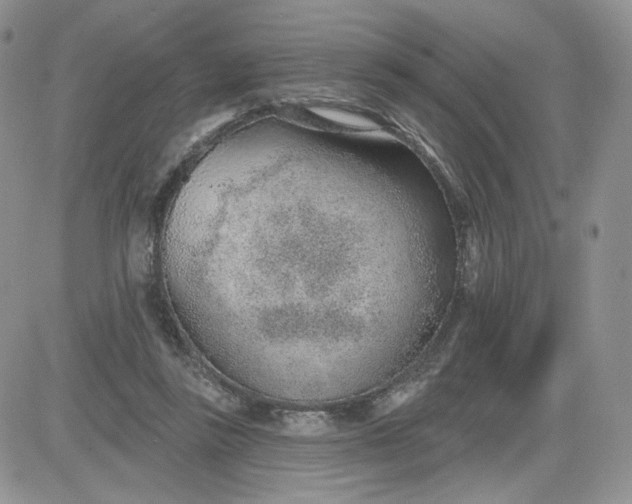 X0000081560355200701291155