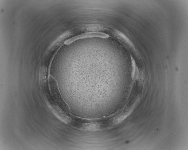 X0000081560356200701291155