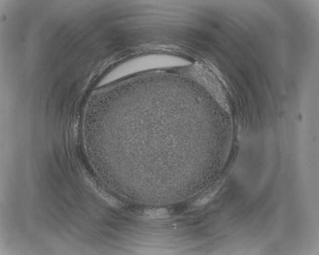 X0000081560357200701291155