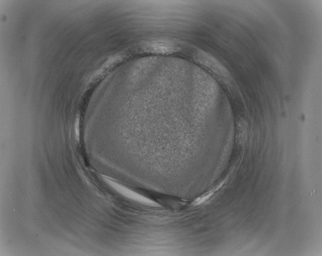 X0000081560358200701291155