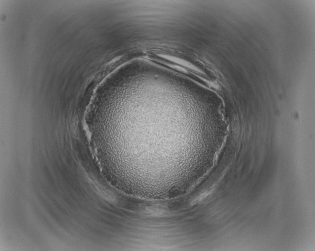 X0000081560359200701291155