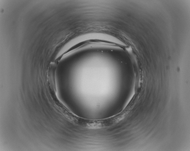 X0000081560362200701291155