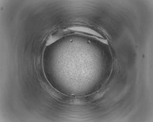 X0000081560365200701291155