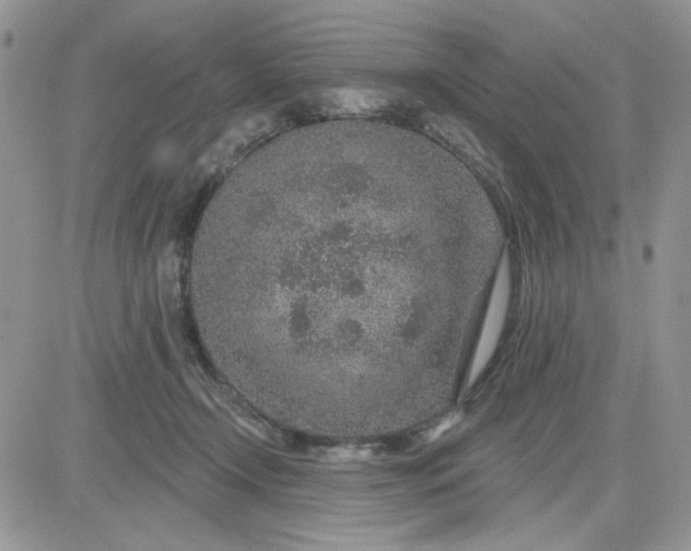 X0000081560366200701291155