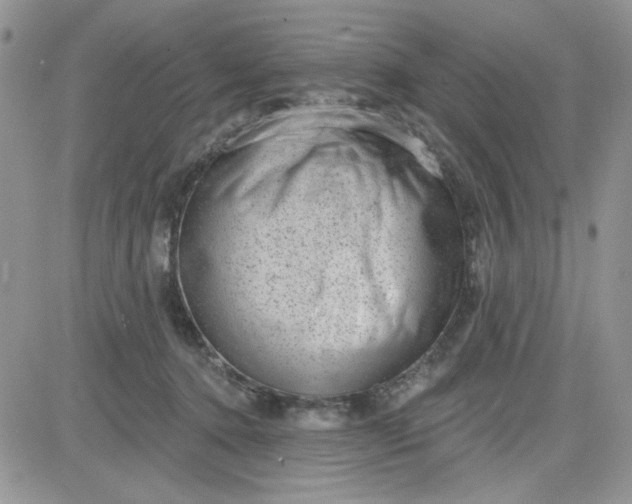 X0000081560368200701291155