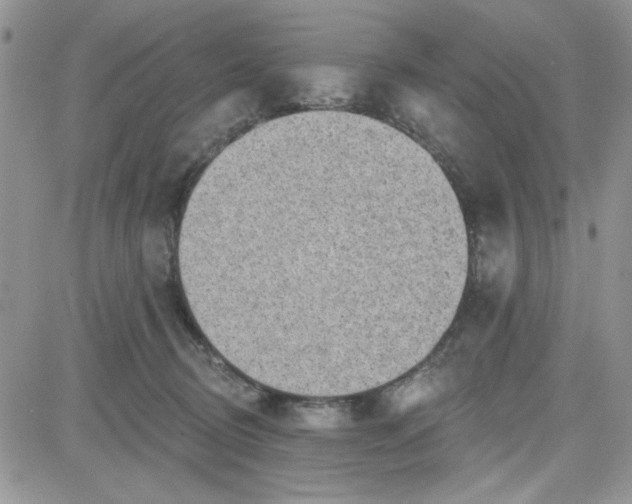 X0000081560370200701291156