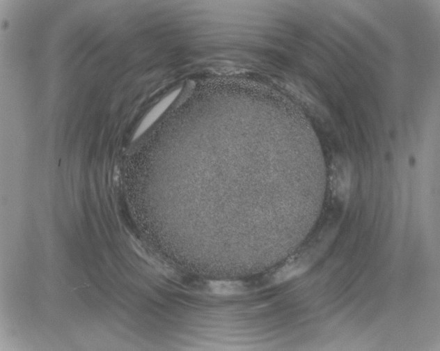 X0000081560371200701291156