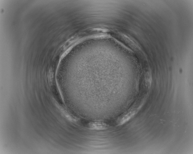 X0000081560372200701291156