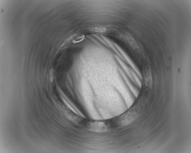 X0000081560374200701291156