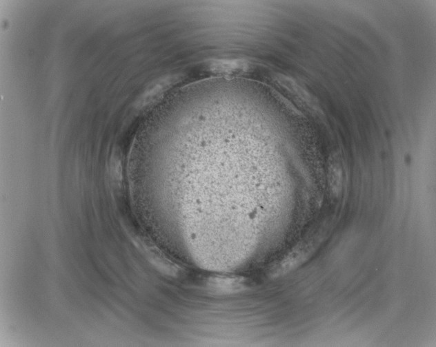 X0000081560375200701291156