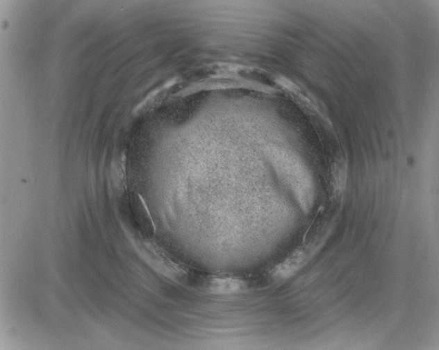 X0000081560376200701291156