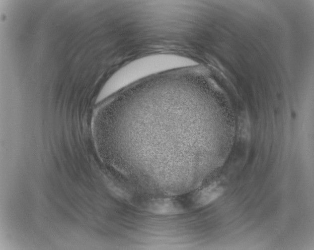 X0000081560377200701291156