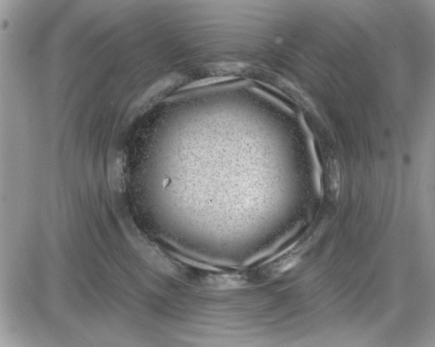 X0000081560378200701291156