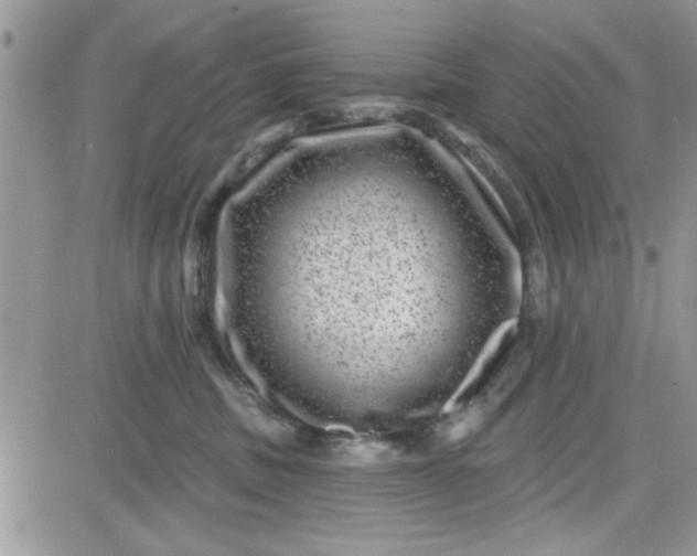 X0000081560379200701291156