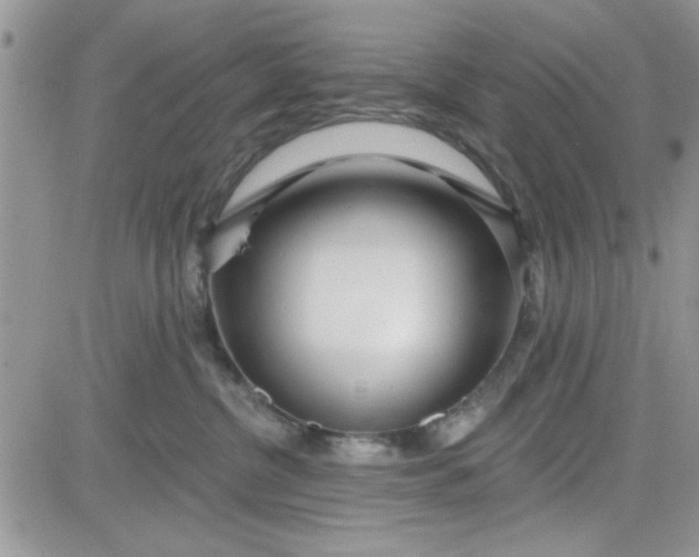 X0000081560380200701291156