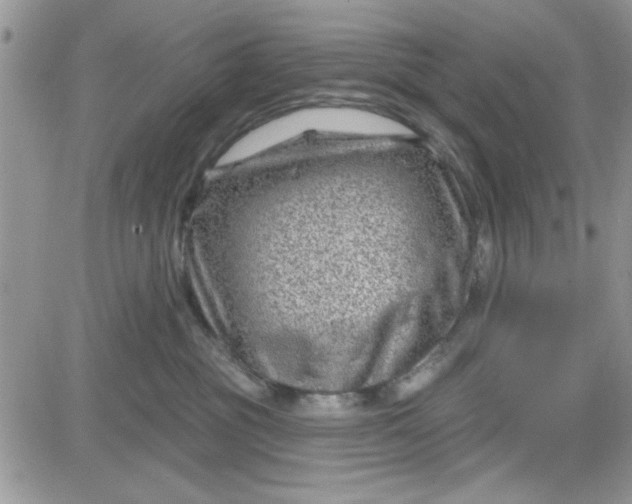 X0000081560381200701291156