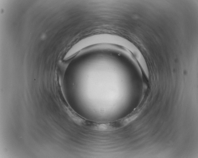 X0000081560382200701291156