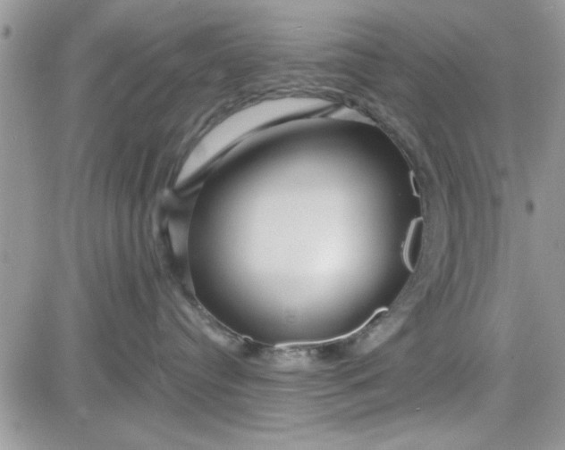 X0000081560384200701291156