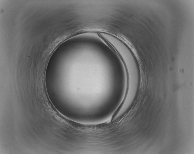 X0000081560385200701291155