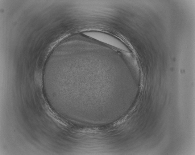 X0000081560386200701291155