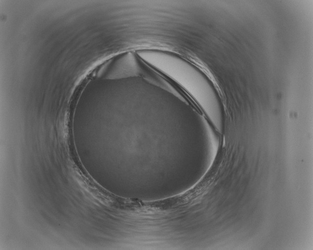 X0000081560387200701291155