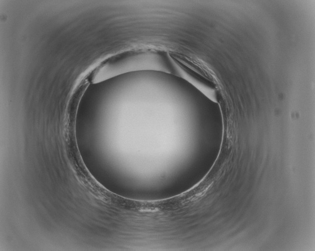 X0000081560388200701291155