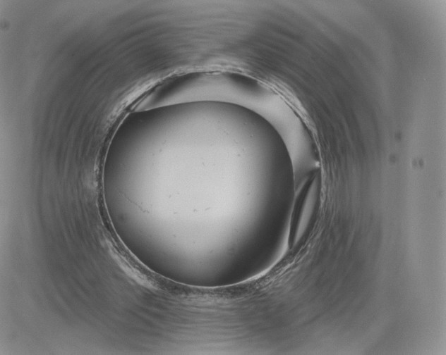 X0000081560389200701291155