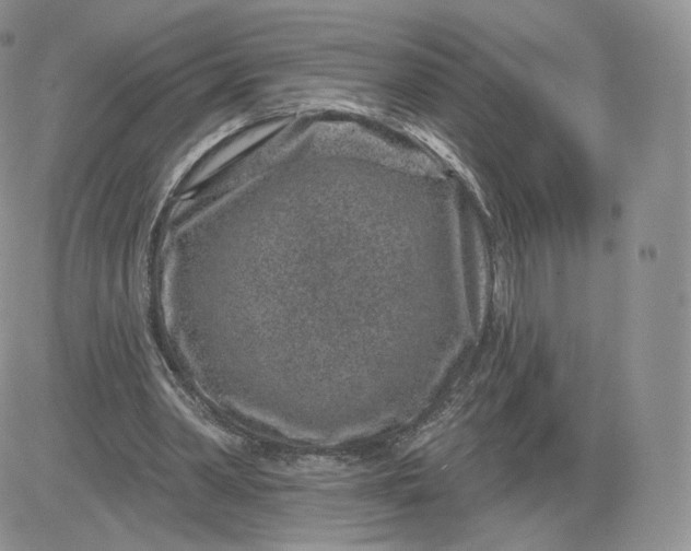 X0000081560390200701291155