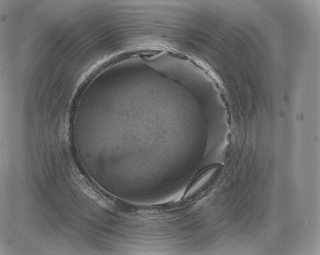 X0000081560391200701291155