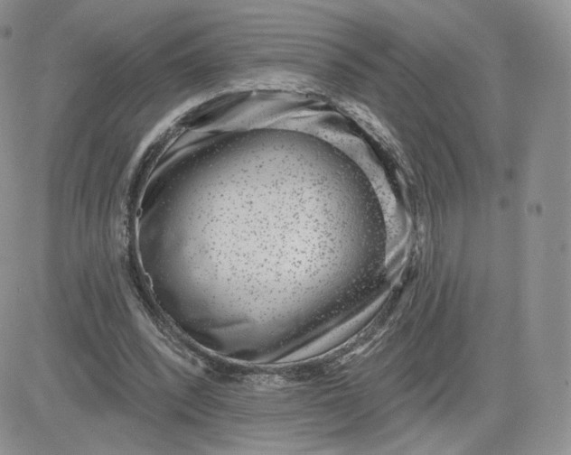 X0000081560392200701291155