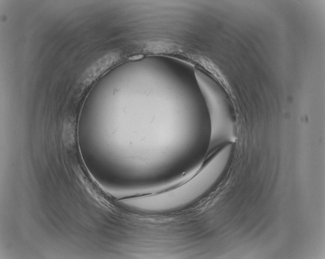 X0000081560393200701291155