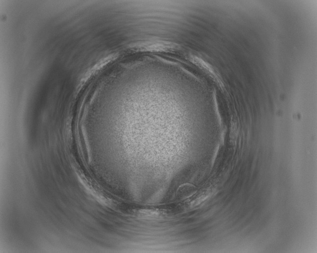 X0000081560394200701291155